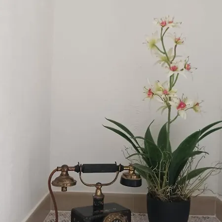 Dimora Lara 3*